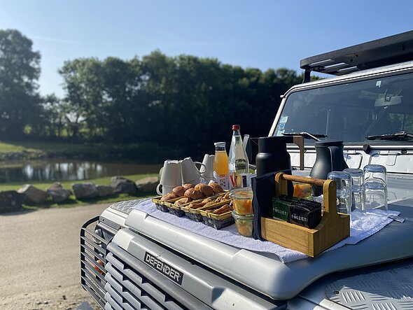 Safari Excellence